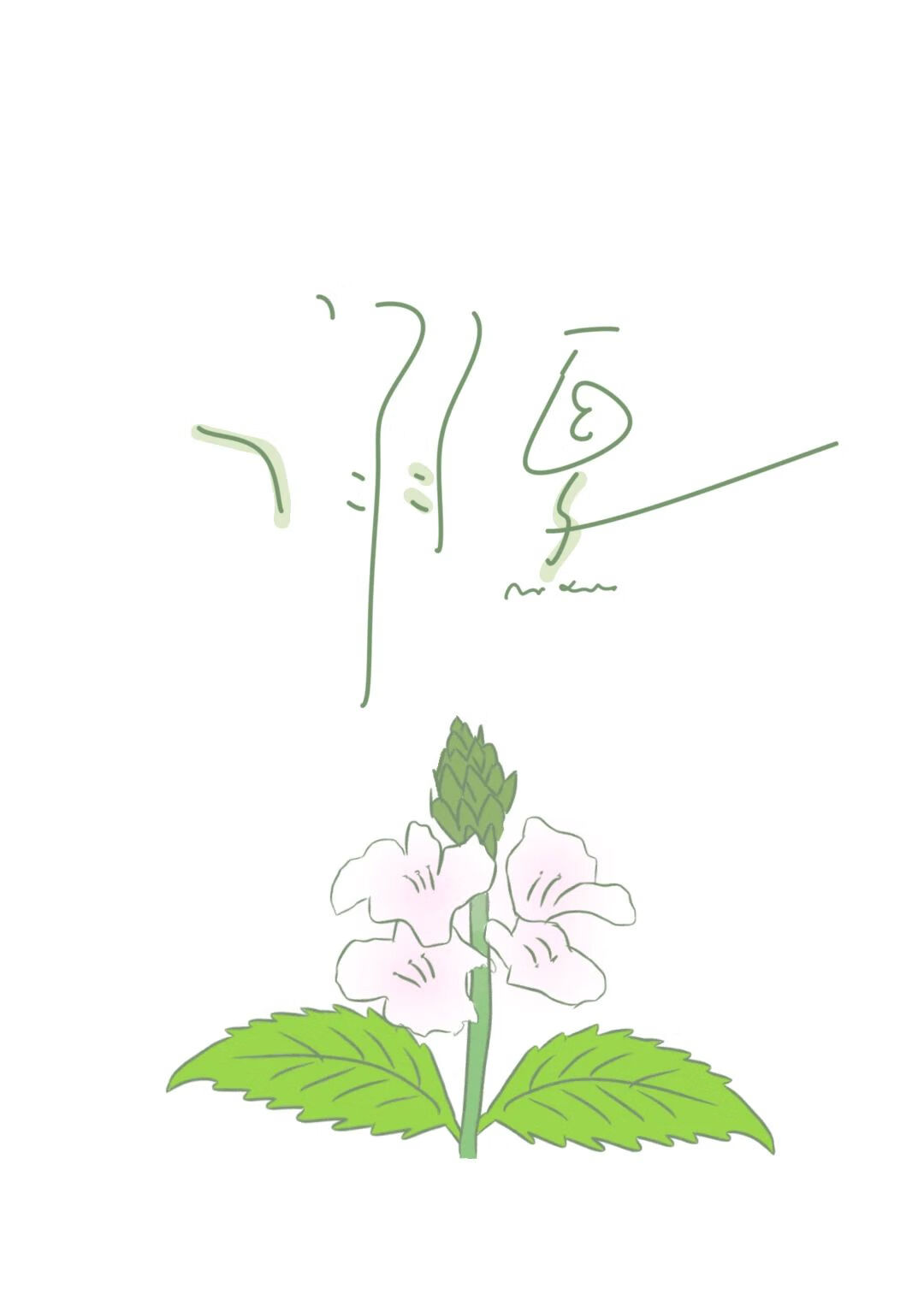 溺夏（微病娇）