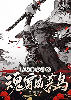 顶级刺客沦为菜鸟