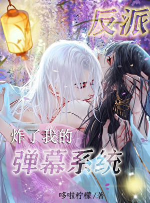 反派炸了我的弹幕系统