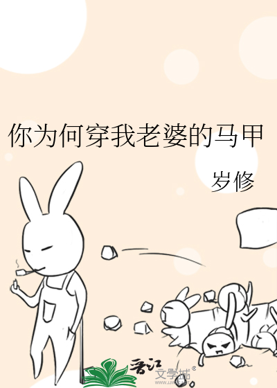 你为何穿我老婆的马甲