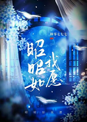 昭昭如我愿