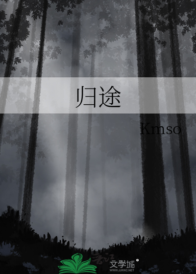 归途