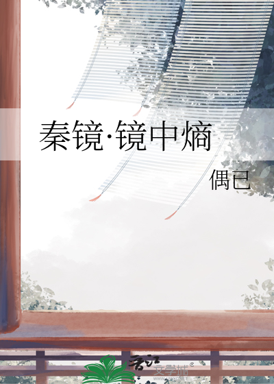 秦镜·镜中熵
