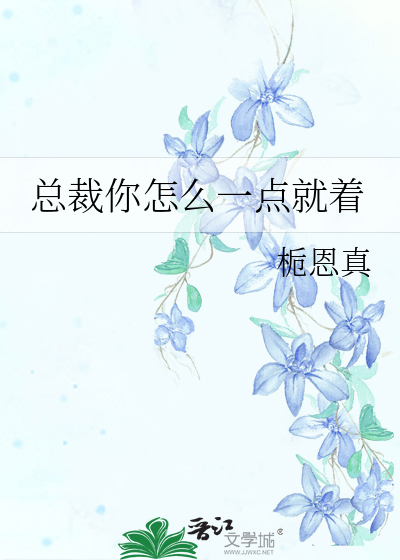 总裁你怎么一点就着