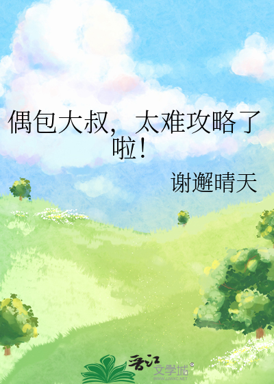 偶包大叔，太难攻略了啦！