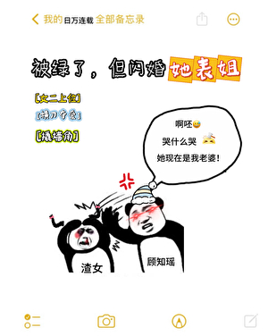 被渣了，但闪婚她大表姐