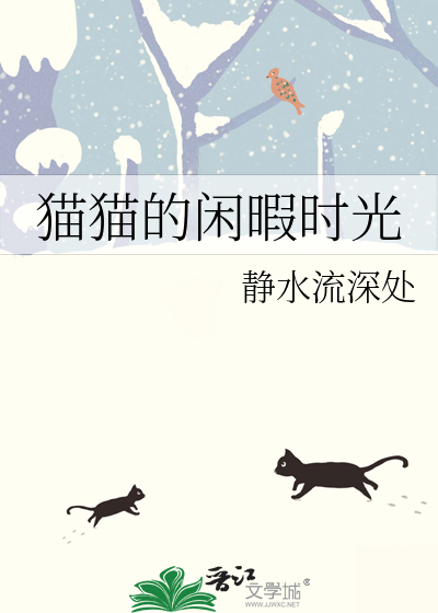 猫猫的闲暇时光