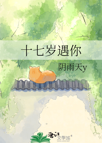 十七岁遇你