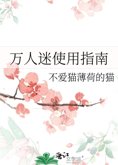 万人迷使用指南