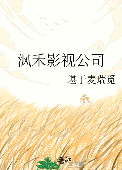 沨禾影视公司