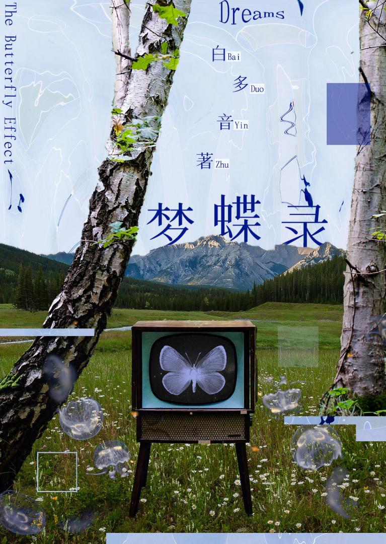 梦蝶录