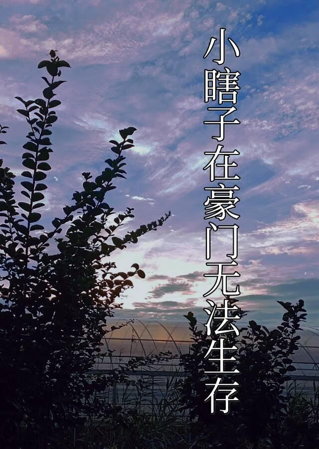小瞎子在豪门无法生存