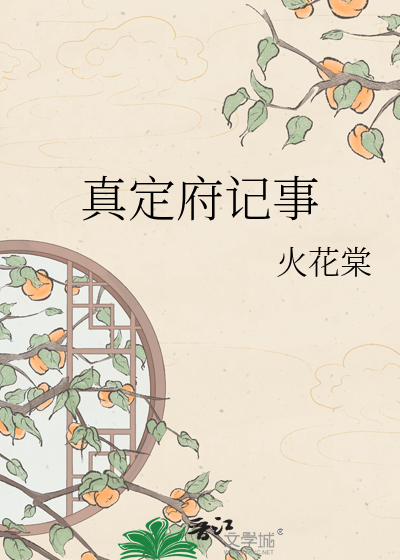 真定府记事