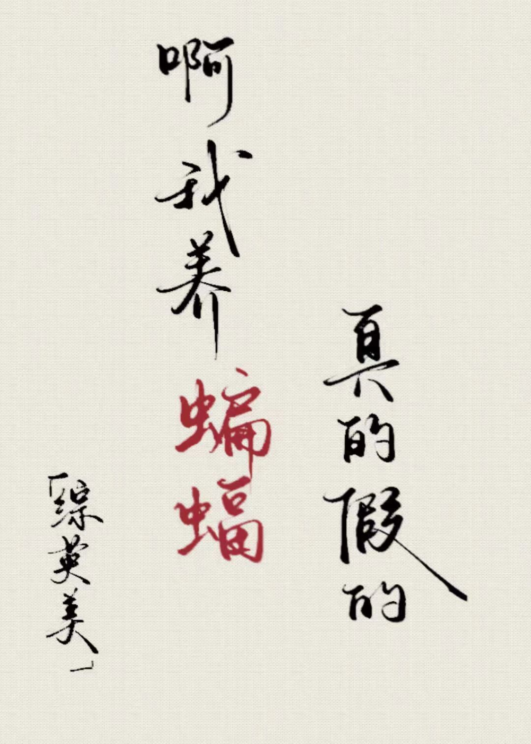 「综英美」啊，我养蝙蝠，真的假的？