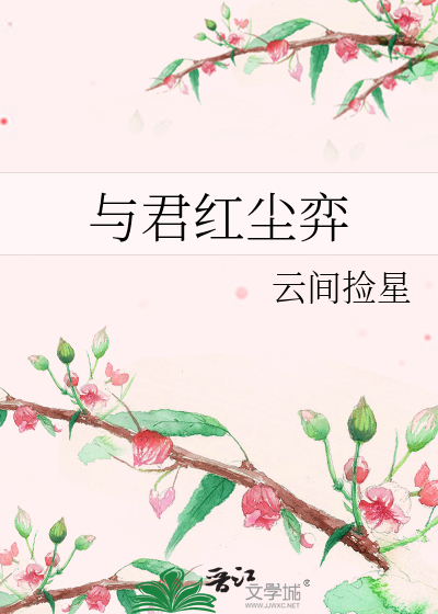 与君红尘弈