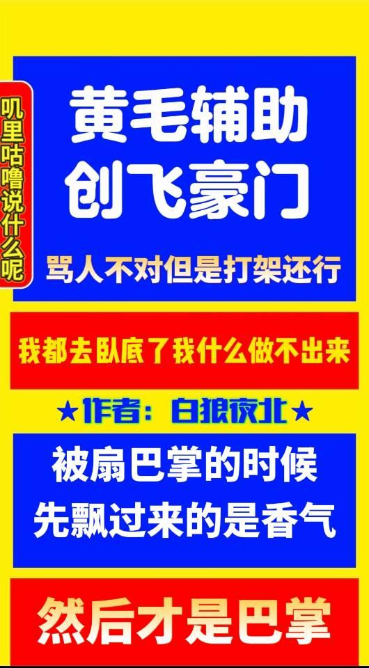 黄毛辅助，创飞豪门