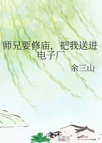 师兄要修庙，把我送进电子厂