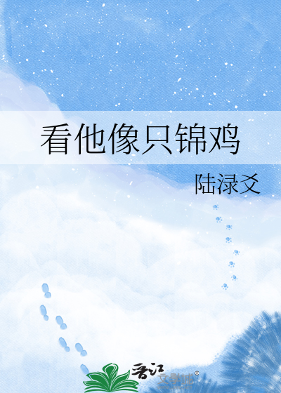 看他像只锦鸡