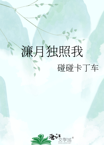 濂月独照我