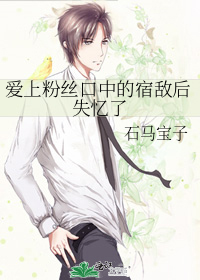 爱上粉丝口中的宿敌后失忆了