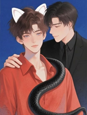 觊觎