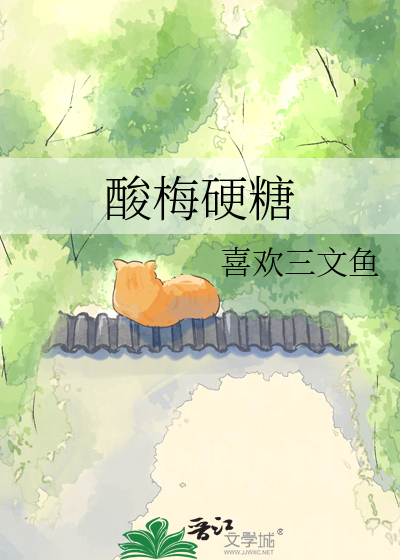 酸梅硬糖