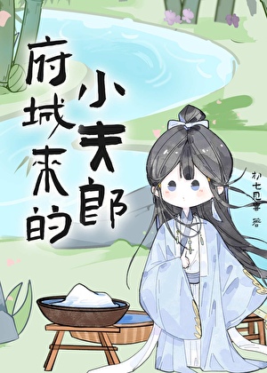府城来的小夫郎
