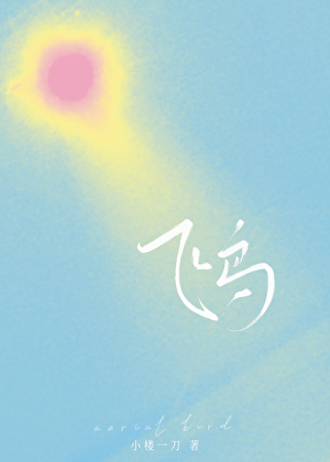 飞鸟[青梅竹马]