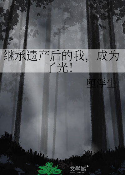 继承遗产后的我，成为了光！