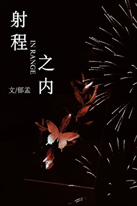 射程之内[射击]