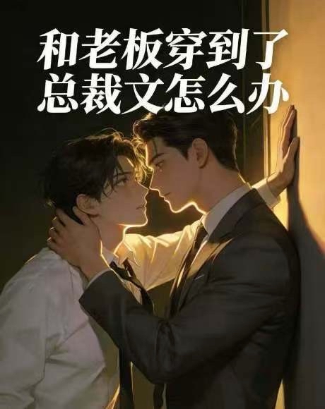 和老板穿到了总裁文怎么办