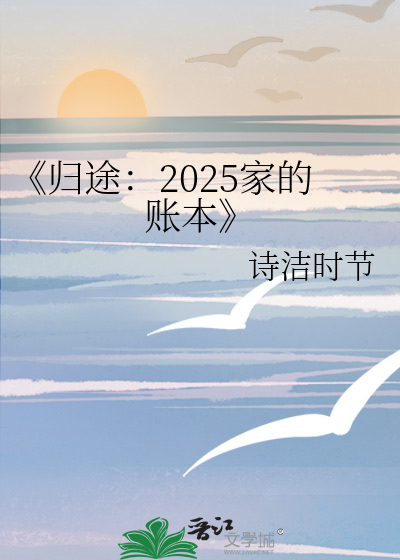 《归途：2025家的账本