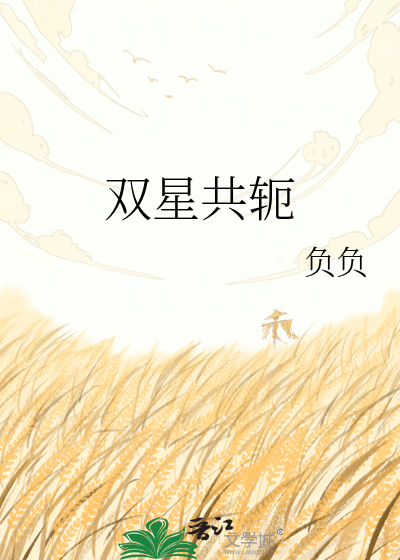 双星共轭