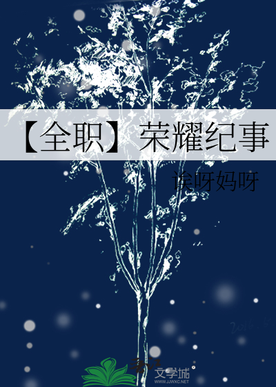 【全职】荣耀纪事