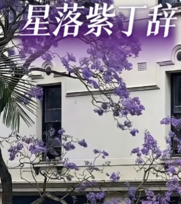 星落紫丁辞