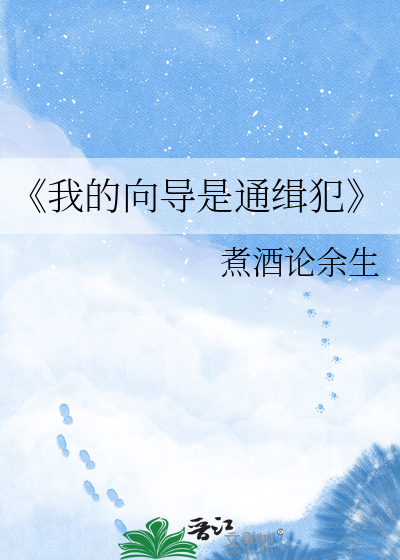 《我的向导是通缉犯
