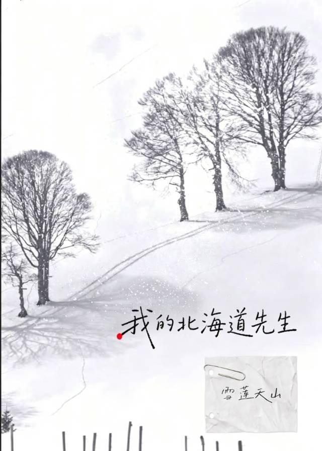 我的北海道先生