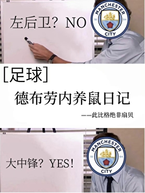 [足球]德布劳内养鼠日记