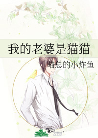 我的老婆是猫猫