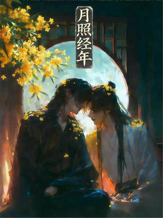 月照经年